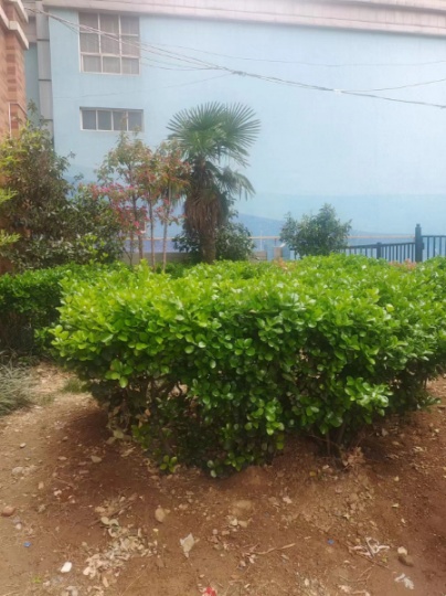 天津市環(huán)境工程專項污染修復(fù)工程乙級資質(zhì)升級有單位需要嗎辦理成