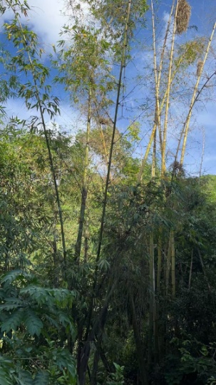 電力工程中級職稱